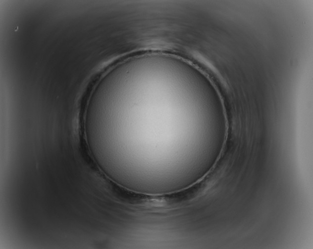 X0000088061315200705251334