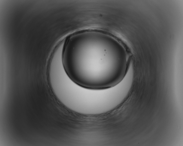 X0000088061316200705251334