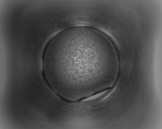 X0000088061317200705251334
