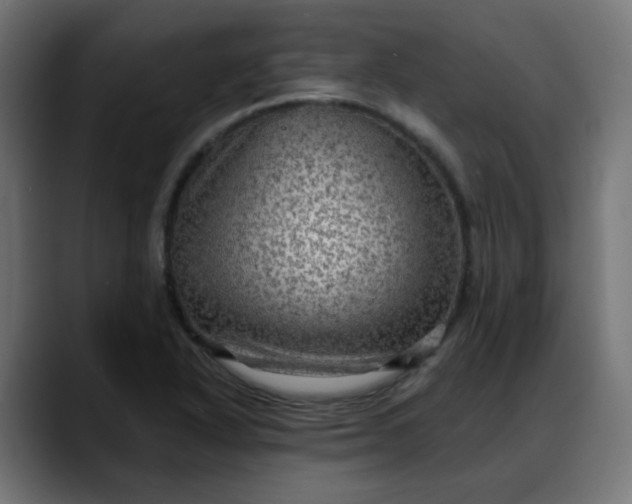 X0000088061318200705251334