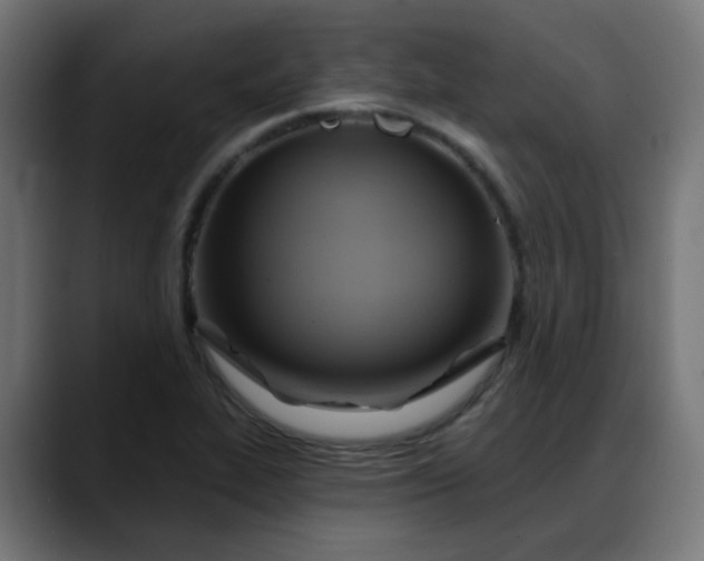 X0000088061319200705251334
