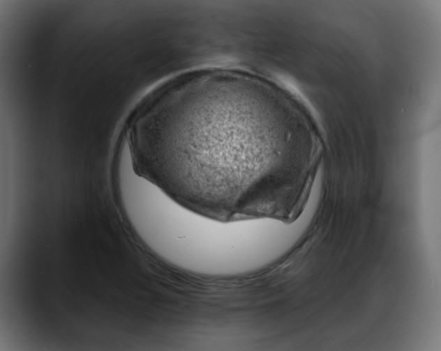 X0000088061320200705251334