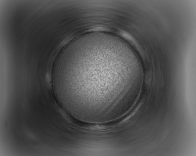 X0000088061321200705251334