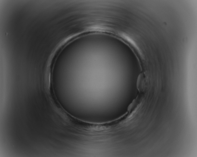 X0000088061323200705251334