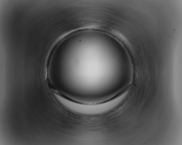 X0000088061324200705251334