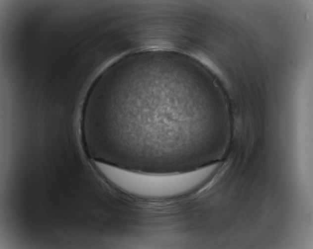 X0000088061325200705251334