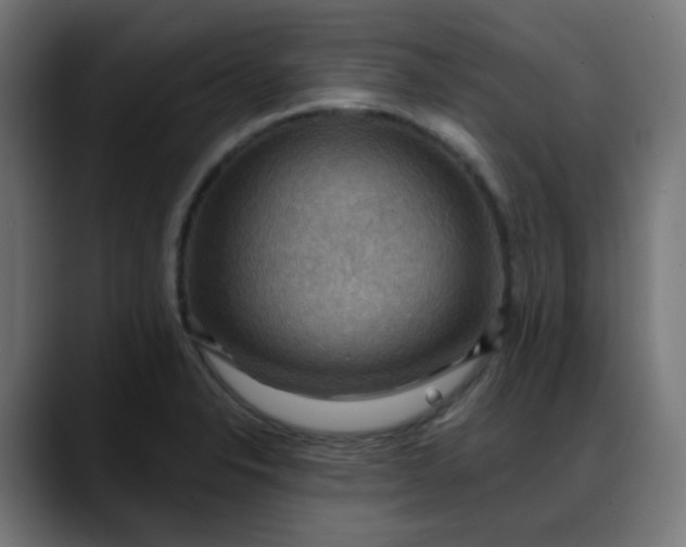 X0000088061326200705251334