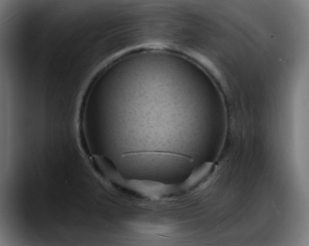X0000088061327200705251334