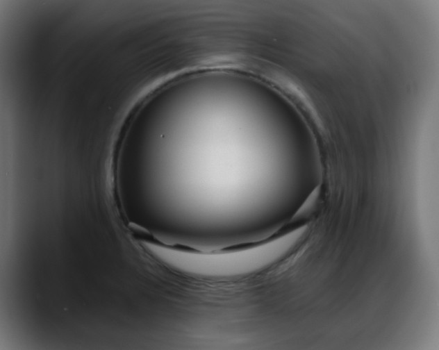 X0000088061328200705251334
