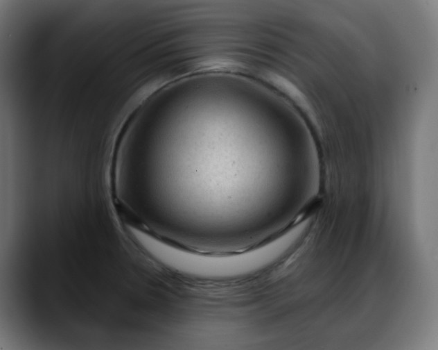 X0000088061330200705251335