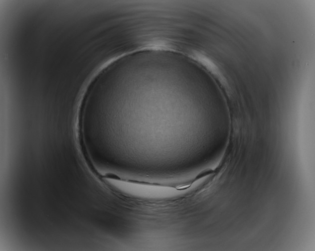 X0000088061331200705251335