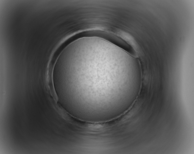 X0000088061332200705251335