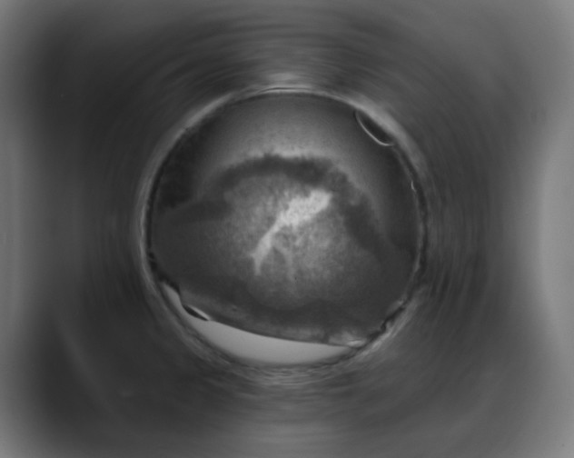 X0000088061333200705251335