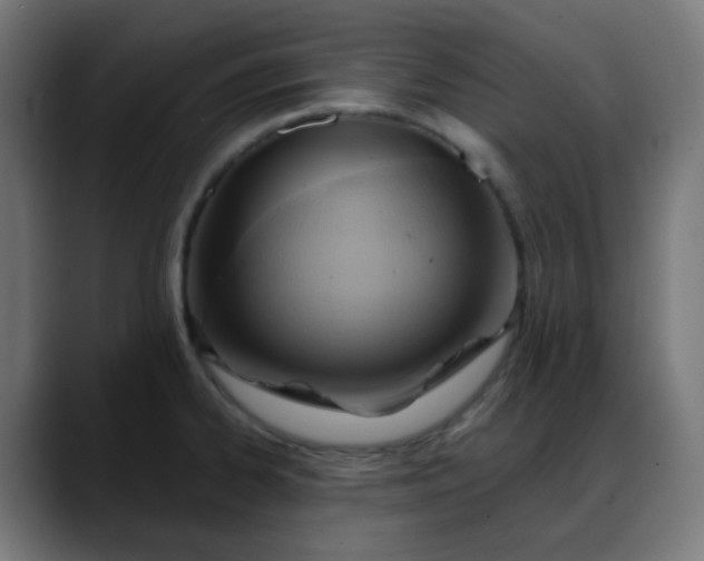X0000088061334200705251335