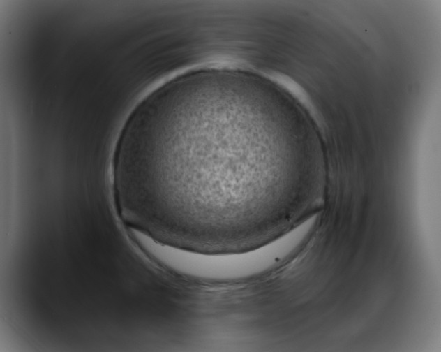 X0000088061335200705251335