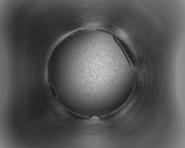 X0000088061336200705251335