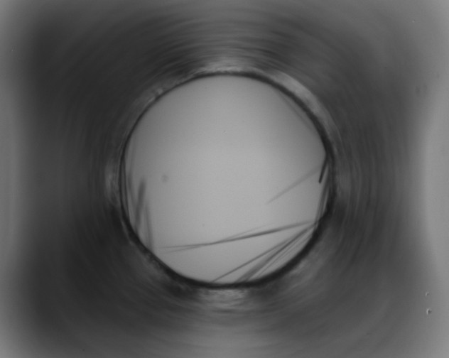 X0000088061337200705251335