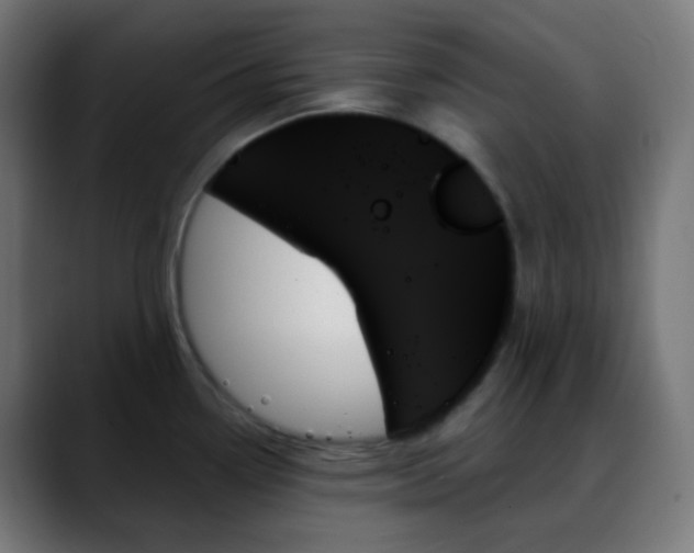 X0000088061338200705251335