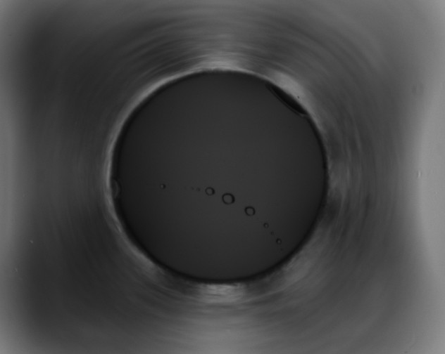 X0000088061339200705251335