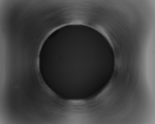 X0000088061340200705251335