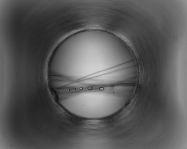 X0000088061342200705251335