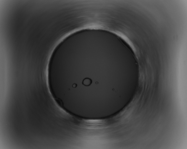 X0000088061343200705251335