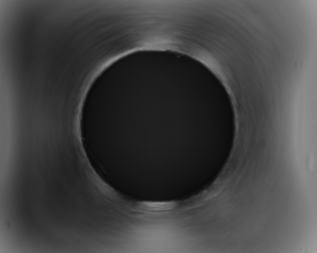 X0000088061344200705251335