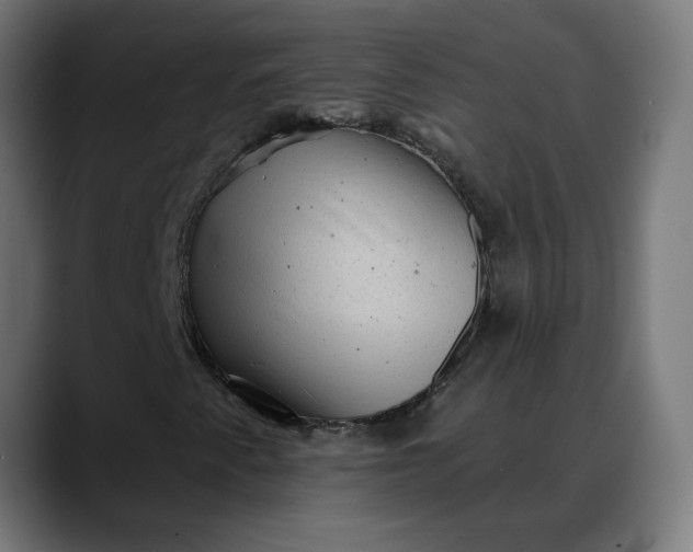 X0000088061345200705251334