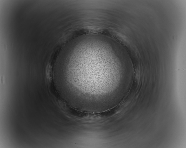 X0000088061346200705251334