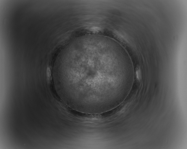 X0000088061347200705251334