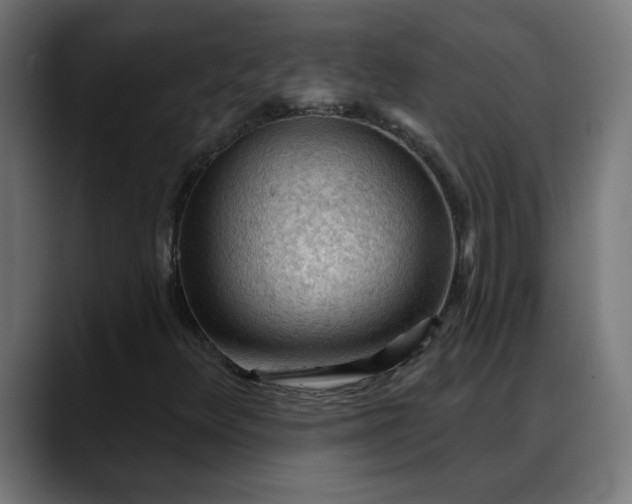 X0000088061348200705251334