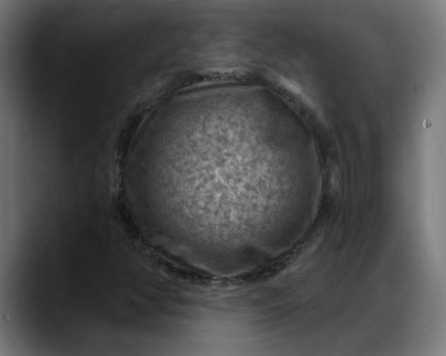 X0000088061350200705251334