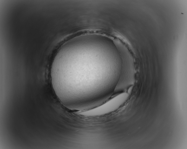 X0000088061352200705251334