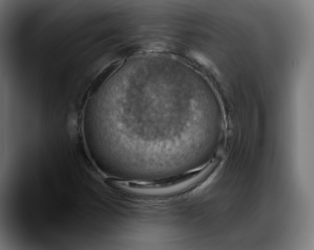 X0000088061353200705251334