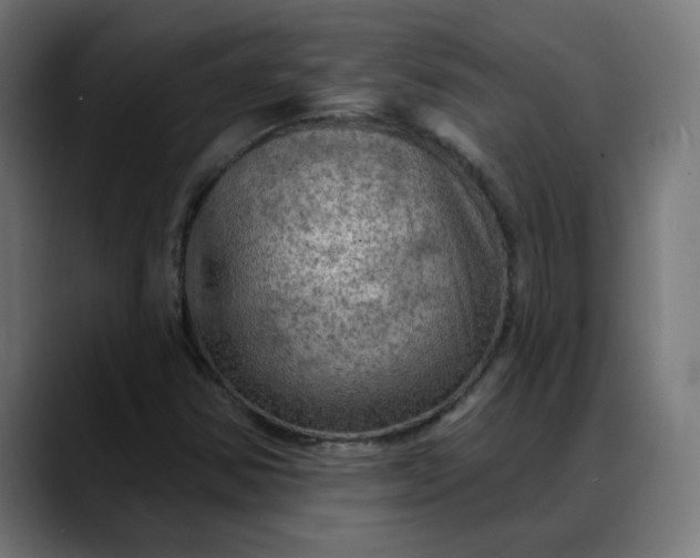 X0000088061354200705251334