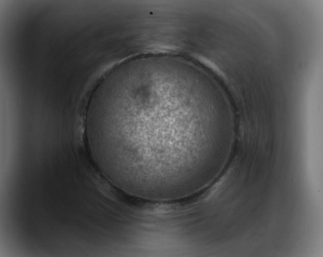 X0000088061355200705251334