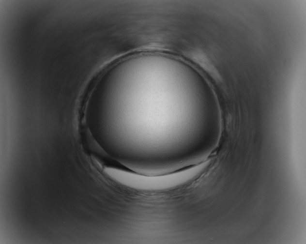 X0000088061356200705251334