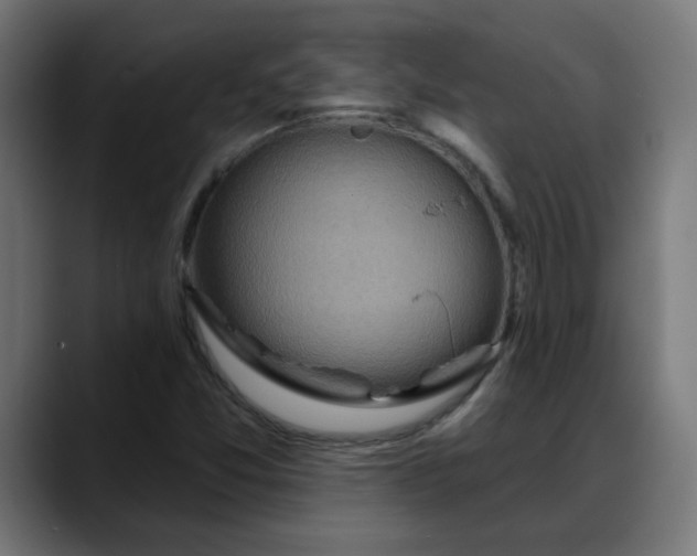X0000088061357200705251334