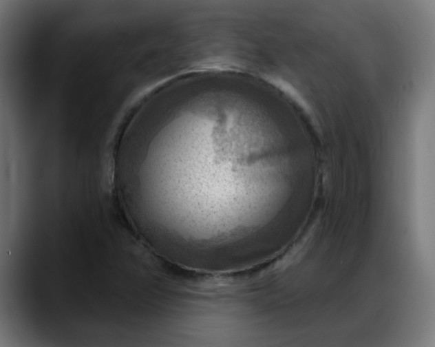 X0000088061358200705251334