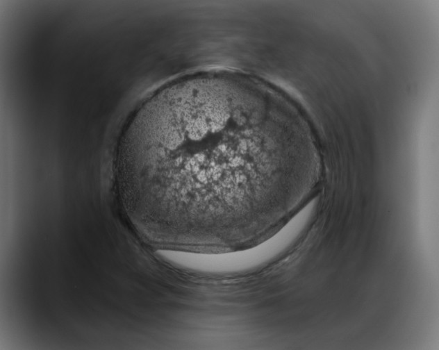 X0000088061359200705251334