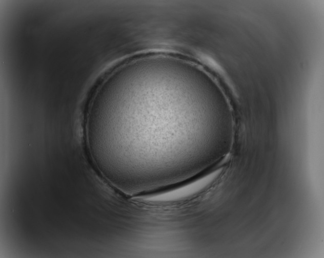 X0000088061360200705251334