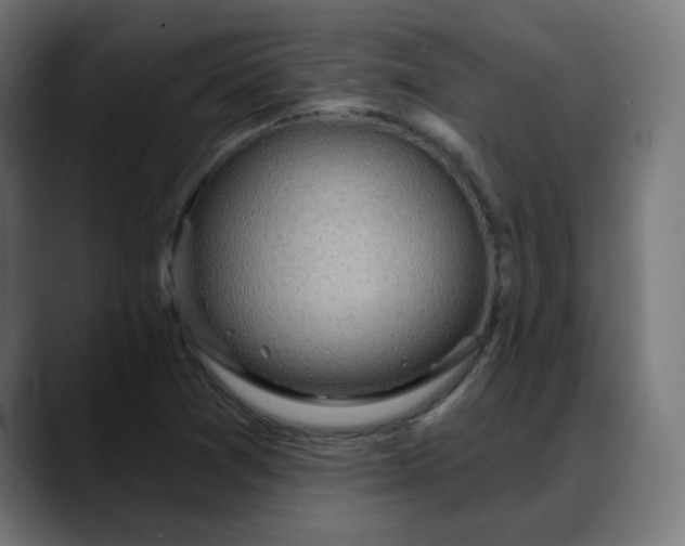 X0000088061361200705251334