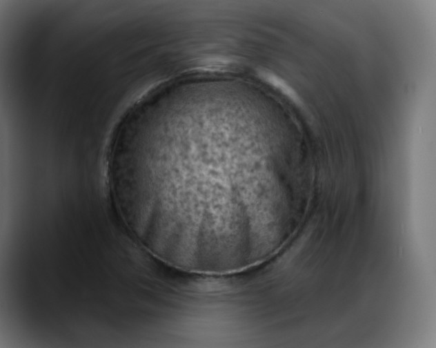 X0000088061362200705251334