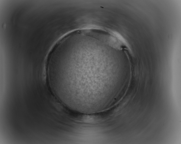 X0000088061364200705251334