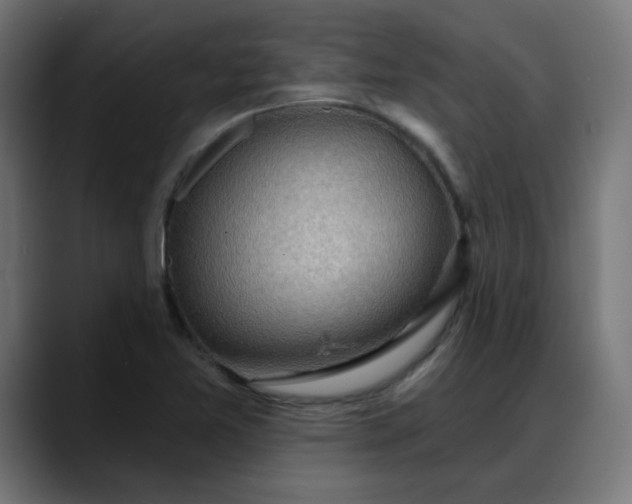 X0000088061365200705251334