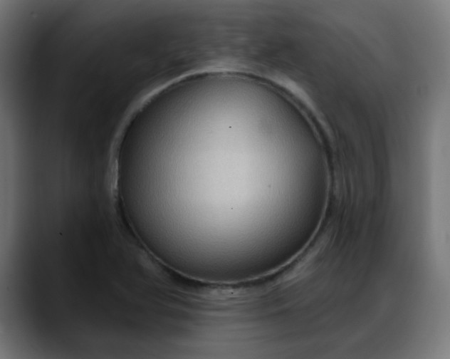 X0000088061366200705251334