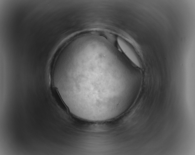 X0000088061368200705251334