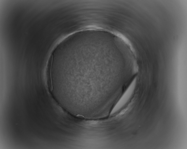 X0000088061373200705251334
