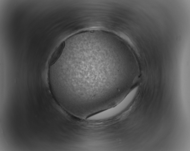 X0000088061374200705251334