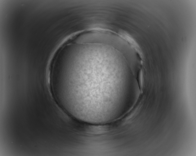 X0000088061376200705251334